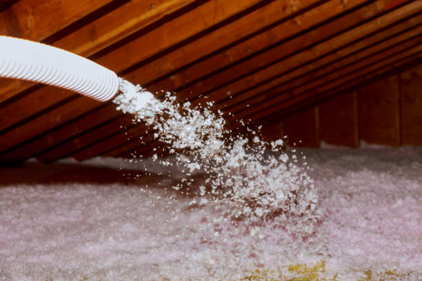 Best Residential Insulation in River Park, FL