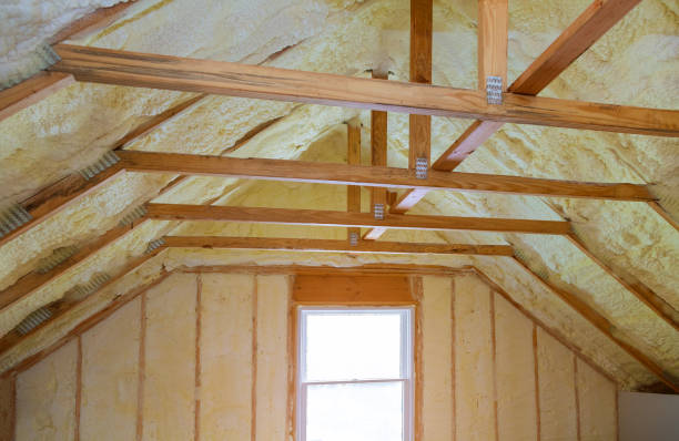 Best Energy Efficiency Insulation in River Park, FL