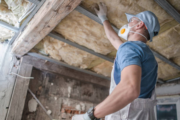 Best Insulation for Specific Applications in River Park, FL
