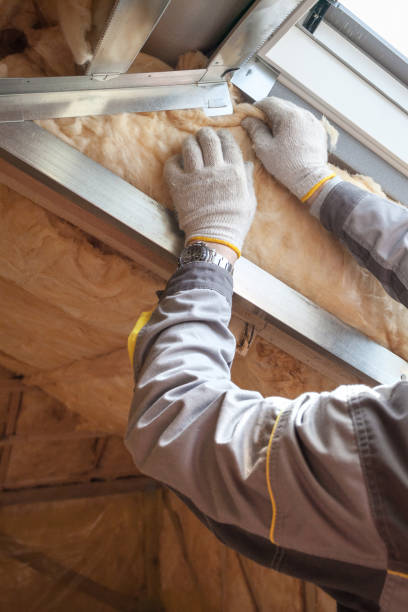 Best Cellulose Insulation in River Park, FL